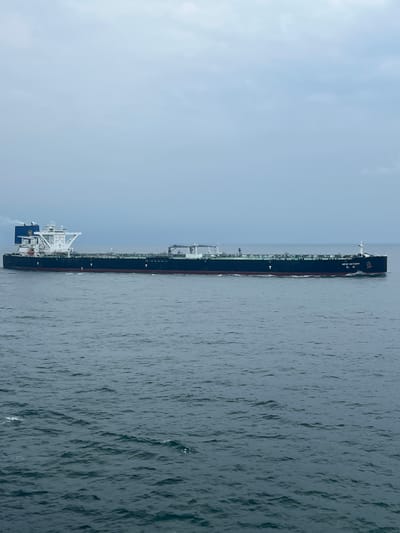 A large, dark-hulled cargo ship named "NEW VICTORY" is sailing on a dark, choppy sea under a cloudy, overcast sky. The ship is mostly black with a white superstructure towards the bow, featuring several decks and cranes. A red waterline is visible along the hull. The stern of the ship has markings in English and what appear to be Chinese characters. The ship is oriented horizontally across the frame, moving from left to right. The environment is entirely maritime, with no signs of land or urban structures. The water is a deep blue-gray, with small waves and whitecaps. The sky is a uniform pale blue-gray, indicating potentially inclement weather.