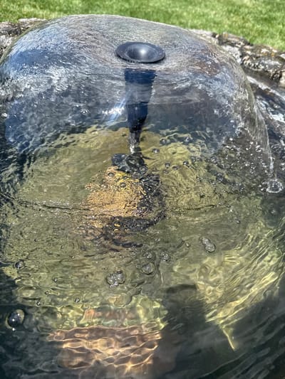 The image is a close-up of a fountain with water flowing over a rounded surface. The water is clear and shows ripples and bubbles. Sunlight reflects off the water, creating shimmering patterns. In the background, there is green grass and some rocks. The fountain appears to be located outdoors, possibly in a garden or park. There are no people or animals visible in the image. The location in Hraniv, Ukraine is not discernible from the image itself.
