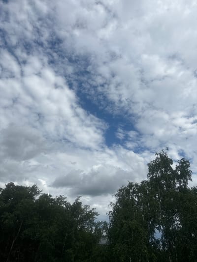 The media file shows a low-angle view of a cloudy sky with trees on the right side of the frame. The sky is filled with a mix of white and gray clouds, with patches of blue visible in between. The trees appear to be tall and leafy, with dark green foliage. The lighting suggests it is daytime, possibly late afternoon, given the overcast conditions and the direction of light. The image conveys a sense of being outdoors, possibly in a park or forest area in Kirov, Russia. There is no visible text in the media file. The overall mood is somewhat subdued due to the cloudy weather.