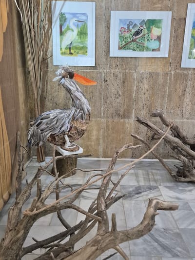 The image depicts an indoor art installation, potentially at the Srebarna Nature Reserve visitor center in Bulgaria. The installation features nature-themed artwork and sculptural elements.
On the left, three framed watercolor paintings are hung on a wall with a light brown, textured surface. The top painting is partially visible, followed by a painting of a woodpecker on a branch with colorful balloons in the background. The third painting depicts a white heron in a green landscape.
Below the paintings is a collection of dried reeds or straws. To the right of the paintings is a bird sculpture, constructed from paper, cardboard, and natural materials like dried plant fibers and orange feathers. The sculpture is mounted on a wooden frame attached to a large driftwood structure. The driftwood extends upwards and outwards, creating a naturalistic, branching effect. The wall behind the driftwood is covered in marble or a similar patterned material.
The installation is situated on a wooden platform or shelf. The environment suggests an art exhibition or display area within a nature reserve or cultural center. No people are visible in the image.