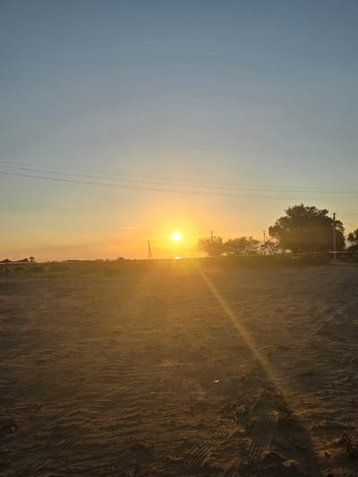 This is a vertical, full-frame photograph taken at sunset in Boz Beshik, Kyrgyzstan. The image captures a broad, open landscape with a clear sky dominating the left side. The sun, a bright, glowing orb, is positioned in the middle of the frame, casting long rays of light across the scene.
The landscape consists of a dusty, uneven ground on the right, with visible tire tracks suggesting recent vehicle activity. Scattered patches of dry grass and small stones dot the terrain. In the background, a line of silhouetted trees stretches horizontally across the image, their dark forms contrasting with the warm, golden light of the sunset. Several utility poles with power lines are also visible, running parallel to each other and disappearing into the distance.
The time of day is clearly sunset, indicated by the low position of the sun and the warm, orange and yellow hues illuminating the sky and ground. The weather appears clear and dry, typical of this type of landscape at dusk. The overall mood is serene and vast, with a sense of solitude and the quiet end of the day. There is no visible text in the image.