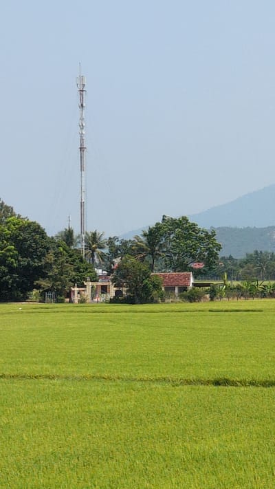 The image depicts a rural landscape in Dien Tho, Vietnam. A tall communication tower stands prominently against a clear sky. To the right, a lush green rice field stretches towards the horizon, marked by linear patterns suggestive of cultivation rows. Amidst the greenery, a cluster of trees and structures, including a building with a red tiled roof, are visible. In the background, a gently sloping mountain range is discernible against the light blue sky.