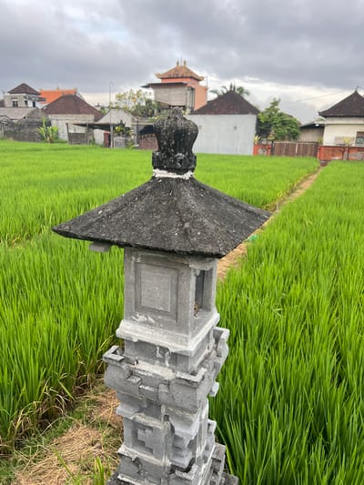 The image depicts a small, gray stone shrine or monument in a lush, green rice field. The monument has a tiered, geometric design and is weathered. In the background, there are several traditional Balinese houses with pitched roofs, and the sky is overcast. The location is likely in a rural or semi-rural area in Celuk, Indonesia, known for its rice paddies and traditional architecture. No people are visible in the image.