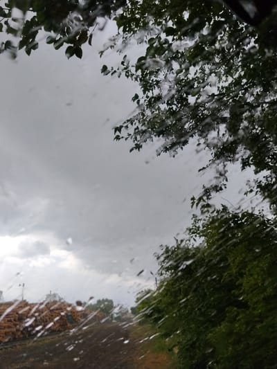The image shows a view through a wet window pane, likely from inside a vehicle, looking out at a landscape under a cloudy sky. Streaks of water obscure the view, distorting the scene and creating a blurry effect. In the upper portion of the image, dark green foliage from trees is visible, its details softened by the water droplets. The middle ground is dominated by a gray, overcast sky with some lighter patches suggesting distant clouds. In the lower left of the image, a large pile of cut logs is partially visible, appearing brown and stacked. To the right of the logs, more dense green foliage suggests trees or bushes. The ground in the foreground is a dark, indistinct surface, possibly a road or path, also affected by the water on the window. There are no people or discernible actions depicted in the image. The overall impression is one of a rainy or damp day in a semi-rural or wooded area. The location is identified as Hoholeve, Ukraine.
