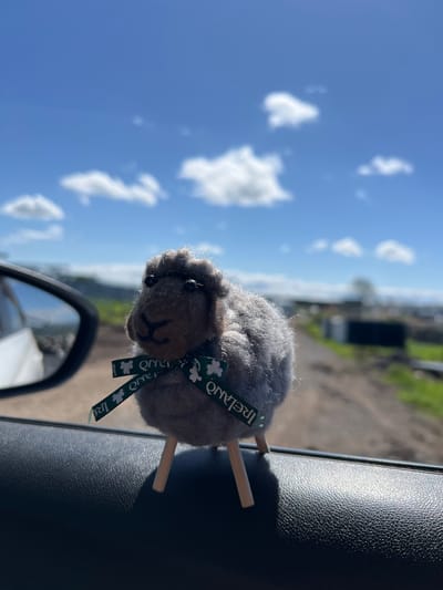 A close-up, slightly angled shot reveals a stuffed, woolly sheep toy with wooden legs perched on a black, textured surface, possibly the dashboard of a car. The sheep has a green ribbon with shamrocks and the word "Ireland" around its neck. Part of a car's side mirror is visible in the lower left corner. In the blurred background, a landscape with blue sky, scattered white clouds, and distant greenery can be seen. Based on the "Ireland" ribbon on the sheep toy, and the request in the instructions, the location is assumed to be near Grange Ville, Ireland. The focus is on the toy, and there are no people visible.