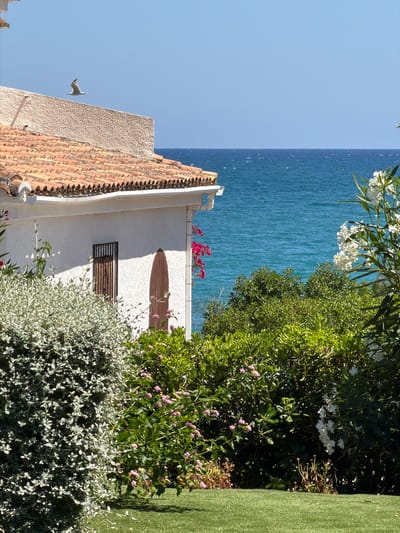 The image depicts a coastal view from a property in Alcalà de Xivert, Spain. A white building with a terracotta tiled roof is partially visible on the left, with a seagull flying in the clear blue sky above it. Lush green vegetation and flowering plants surround the building, with a glimpse of the vibrant blue sea and horizon in the background. The foreground features a well-maintained green lawn. The scene captures a serene and sunny day by the Mediterranean coast.