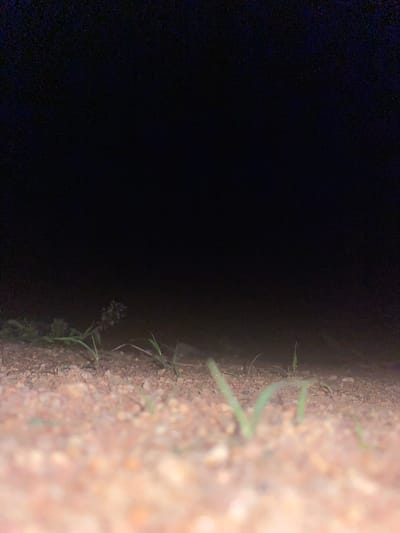 This media file captures a close-up view of the ground, likely taken outdoors in Tavo, Nigeria. The left side of the image is dominated by a blurred area of light-colored soil and small pebbles. To the right of this, a sharp contrast is created by a deep, dark void that occupies the majority of the frame.

Emerging from the soil and extending into the darkness are several blades of green grass. These blades are mostly in focus in the mid-ground, showing their slender, pointed forms. Some appear to be arching or bending slightly. The texture of the soil is visible, with a mix of granular particles and larger pebbles. A few faint, darker specks are scattered within the soil.

The overall impression is that of a transition from a well-lit, textured ground surface into an unlit, possibly deep area. The time of day is likely night or very early morning, given the profound darkness. No people, objects, or discernible landscape features other than the immediate ground are visible. The scene is devoid of any text. The lighting suggests a deliberate capture of this transition, perhaps focusing on the boundary between light and dark in a natural setting.