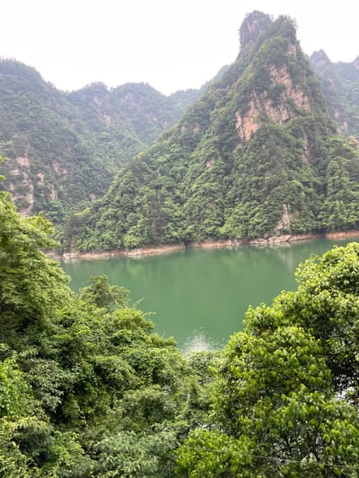 This image shows a scenic view of the Zhangjiajie National Forest Park in Wulingyuan, China. A body of water, likely a river or lake, is positioned between steep, verdant mountains. The mountain on the left has exposed rock formations. Lush green foliage and trees surround the water and dominate the foreground of the image. The weather appears misty or overcast, contributing to the landscape's ethereal quality.