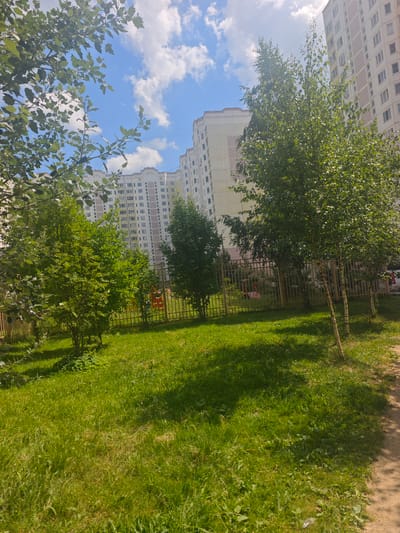 The image captures a sunny day in a residential area of Chekhov, Russia, likely a courtyard or green space between apartment buildings. In the foreground, lush green grass covers the ground, dappled with sunlight and shade. Several trees, including what appear to be birch trees with their distinctive white bark, are scattered across the scene. A metal fence runs horizontally, separating the grassy area from a playground or another section of the courtyard, where parts of colorful play equipment are visible. Behind the fence, more trees and shrubs are present. Dominating the background are tall, multi-story apartment buildings with light-colored facades, typical of Soviet-era or modern Russian urban architecture. The sky is blue with scattered white clouds, indicating pleasant weather. No people are visible in the image.