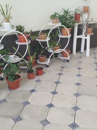 A collection of potted plants are displayed on tiered stands and directly on the ground against a light-colored textured wall and a patterned tiled floor. The plants vary in size and type, with some in terracotta pots and others in white or brown plastic pots. The stands are made of white metal, with one circular tiered stand and another more angular white stand with wooden shelves. The ground is paved with large octagonal tiles in a light beige color, interspersed with smaller dark gray square tiles. The scene appears to be an outdoor area, possibly a patio or garden space, in an urban setting like Жаңы-Айыл, Kyrgyzstan, given the context. There are no people visible in the image. The lighting suggests it is daytime.