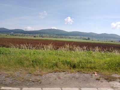The image presents a wide, rural landscape in Stambolovo, Bulgaria, captured on a bright, clear day. The perspective is from a moving vehicle, indicated by the motion blur in the immediate foreground.
In the blurred foreground, vibrant green grass and weeds stretch across the bottom section of the frame, giving way to a strip of gravel or dirt. The very bottom edge shows a hint of a concrete barrier or road. A small, light brown object, possibly a piece of brick, lies on the gravel.
The midground features expansive agricultural land. A prominent field of dark, reddish-brown tilled earth, likely recently plowed, dominates the lower-middle section. Beyond this, a lighter green field extends towards the horizon.
The background is defined by a series of rolling hills or low mountains, densely covered with green forests. In the valley nestled between these hills, several white and light-colored structures, possibly industrial buildings or parts of a settlement, are visible among the trees and fields. A faint power line structure can also be seen.
The sky is a clear, bright blue with scattered white cumulus clouds. A thin, linear contrail stretches across the upper sky. The scene depicts a peaceful natural environment with a mix of cultivated land and forested hills. No people or specific events are visible. There is no visible text in the image.
