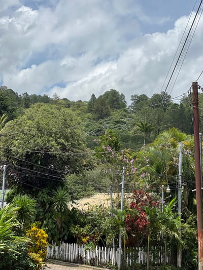The image depicts a lush, green hillside covered in trees and vegetation. A clear blue sky with fluffy white clouds is visible above. In the foreground, there is a white picket fence, and beyond it, a variety of plants and flowers, including some with red and yellow foliage. Several utility poles with wires crisscross the scene, hinting at a residential or developed area nestled within the natural landscape. The overall impression is one of a tropical or subtropical environment with a mix of natural beauty and human infrastructure.