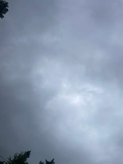 The image shows a gray, overcast sky with some lighter patches of clouds indicating diffused sunlight. In the lower left and right corners, the dark green tops of coniferous trees are visible, suggesting an outdoor setting. The overall atmosphere is somber and perhaps a bit gloomy due to the cloud cover, hinting at possibly inclement weather or the prelude to rain. The time of day appears to be daytime, but the heavy cloud cover obscures any direct sunlight and makes it difficult to determine the exact time. There is no visible text in the image. The scene is a natural landscape, likely a forest or wooded area, given the presence of the trees. The composition focuses on the sky, with the trees framing the bottom edges of the frame.