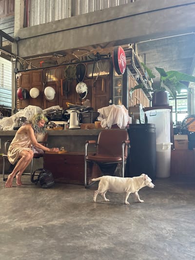 A vertical shot depicts a room with diverse objects, including a Coca-Cola sign, helmets, chairs, and storage containers. A fair-skinned person is seated, holding an object up, while a white dog stands on its hind legs. The room is lit naturally and the camera's view is slightly tilted to the right.