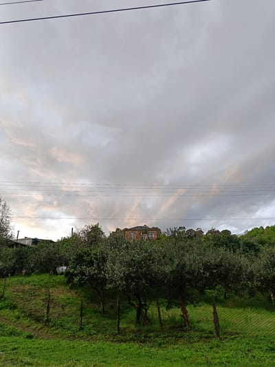The image depicts a landscape in what is presumed to be the vicinity of Мясниково, Abkhazia. The scene features a grassy hillside ascending towards a treeline. Interspersed within the trees are residential structures. The sky is overcast with a predominantly gray cloud cover, hinting at either an impending storm or a recently passed one. A series of electrical wires stretches across the upper portion of the frame. A fence composed of thin posts and wire netting runs along the lower portion of the hillside. The presence of the houses suggests a rural or semi-rural setting. No people are visible in the frame.