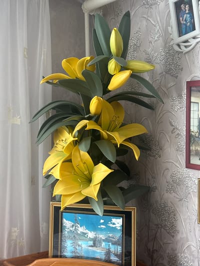 In a room in Yazykova Pyatina, Russia, a large, artificial yellow lily arrangement dominates the scene. The flowers, with their vibrant yellow petals and dark green leaves, are arranged in a tiered fashion, with some buds still closed and others in full bloom. The arrangement is placed in front of a wall with textured, grey wallpaper featuring a delicate, floral pattern with silver accents. To the left of the arrangement, a sheer white curtain hangs, partially obscuring a wall. On the wall to the right of the lilies, there are two framed pictures. The upper frame is white and ornate, containing a portrait of a couple. Below it, a second framed picture with a dark red frame displays a landscape painting of snow-capped mountains and a lake. The base of the lily arrangement rests on what appears to be a wooden surface.