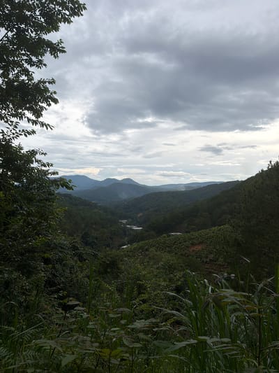 The image depicts a panoramic view of rolling green hills and mountains under a cloudy sky. In the foreground, dense foliage and tall grasses dominate, obscuring the lower part of the landscape. The middle ground reveals a valley with patches of vegetation and some structures, possibly farms or small settlements, nestled among the trees. Further in the distance, multiple layers of mountains recede into a hazy horizon, with the sky filled with dramatic, gray clouds. The scene appears to be a natural landscape with some signs of human habitation. The location is identified as Xuan Truong, Da Lat, Vietnam.