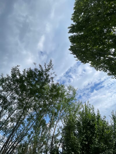 This media file is a photograph taken from a low angle looking up at trees and the sky. The subjects are two clusters of green trees, with their leaves and branches filling the left and right sides of the frame. The trees are lush and leafy, suggesting a warm season. The sky above is a bright blue, partially obscured by scattered white clouds. Some of the clouds are wispy and elongated, creating streaks across the sky, while others are more puffy. The light suggests it is daytime, possibly late morning or early afternoon, given the brightness of the sky. There are no people or man-made objects visible. The scene appears to be an outdoor natural setting, likely in a park or wooded area. The location context is Кызыл-Тоо, Kyrgyzstan. There is no visible text in the image.