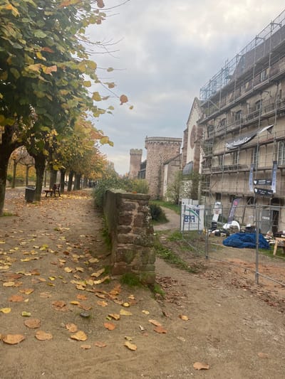 The image depicts an outdoor scene in the city of Obernai, France, under an overcast sky. In the foreground, a dirt path is extensively covered with fallen autumn leaves, ranging in color from brown to yellow and orange. A low, rustic stone wall, exhibiting visible mortar and some moss, runs along the right edge of this path, extending into the midground.

To the left of the path, a row of deciduous trees displays a mix of green and yellowing foliage, with bare branches extending upwards. Beneath these trees in the midground, a dark-colored park bench and a cylindrical trash receptacle are present. No individuals are visible on the path or beneath the trees.

To the right of the stone wall, a construction area is visible, partially enclosed by a temporary metal fence. Within this enclosure, construction debris including a blue tarp covering a pile, various white and black banners, and wooden materials are scattered. Behind this fenced area, a multi-story building is extensively covered in metal scaffolding, indicating ongoing renovation. Banners affixed to the scaffolding are partially legible, including "Paix Outilleur Con...".

Further into the background, adjacent to the scaffolding-covered building, a stone structure with architectural elements suggestive of a church, including a partially visible rose window and buttresses, is present. Behind this structure, two distinct medieval-style stone towers, complete with battlements, are clearly visible. These towers are characteristic of the historic city walls of Obernai. The sky above is uniformly overcast and light gray.