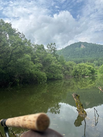 The image displays a serene natural scene, likely a lake or slow-moving river in Манский, Russia. The perspective is from the water's edge, with the foreground occupied by the blurred handle of a fishing rod, suggesting an angler is present, though no person is fully visible. The scene is dominated by the reflection of a lush green forest and a cloudy sky in the still water. A moss-covered log and scattered branches float on the surface, adding a touch of wildness. The time of day appears to be overcast, with soft, diffused light. The overall mood is peaceful and tranquil, capturing a moment of quiet contemplation in nature.