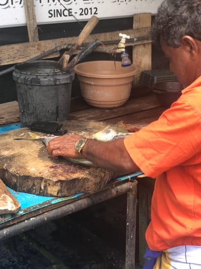 A man in an orange shirt is shown from the chest down, preparing to cut a fish on a wooden block. He is wearing a gold watch. The fish is partially on the block and appears to be a long, slender fish with a yellow tail. There is blood on the cutting block, indicating the fish has already been handled. In the background, there is a large gray bucket filled with water, a terracotta pot, and a faucet with a small showerhead attachment. The scene appears to be outdoors, possibly at a market or a roadside stall, given the rustic wooden structures and the general disarray. The text "SINCE - 2012" is visible on a sign in the background, suggesting a business that has been operating for some time. The overall environment appears to be wet and possibly unsanitary. This scene is likely in Weligama, Sri Lanka, a coastal town known for its fishing industry.