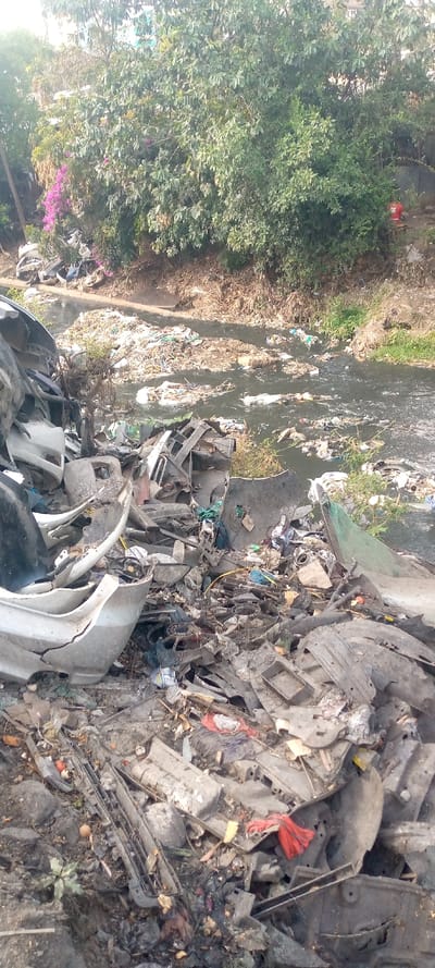 The image displays a severely polluted waterway in Thika Township ward, Kenya, viewed from an elevated perspective. The immediate foreground is dominated by an extensive accumulation of fragmented waste, primarily consisting of automotive components such as broken plastic bumpers, fender liners, and various dark gray and black plastic pieces. Interspersed with these are general refuse items including fabric scraps (red, white, green), plastic bags, and unidentifiable debris. A significant portion of a white plastic bumper fragment is prominent on the left.
The central feature is a dark, murky body of water, likely a river or canal, heavily laden with floating refuse. Large rafts and islands of trash, composed of plastics, organic material, and other discarded items, are visible across the water's surface, particularly concentrated in the middle and right sections. The banks of the waterway are steep and eroded, covered in a mixture of dirt, dried vegetation, and additional scattered waste.
The background consists of dense green foliage, primarily trees and bushes, lining the far bank. Patches of purple flowering plants are visible within the greenery on the left side. No individuals, actions, or interactions are discernible within the frame. The scene is illuminated by natural daylight.