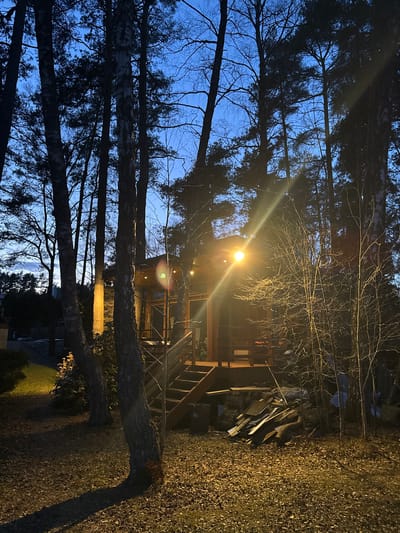 The image shows an outdoor scene at dusk in Baltezers, Latvia. The camera is oriented vertically, looking upwards through a thicket of trees. The sky is a deep blue, visible through the branches. A bright, possibly artificial light source is present in the center of the frame, causing lens flare. Behind the trees, a wooden structure with stairs is partially visible. A pile of materials, possibly lumber or construction debris, is present on the right side of the frame. The ground is covered in fallen leaves. In the distance, a glimpse of water and some residential structures can be seen. The light source is providing illumination to the surrounding vegetation. No people are visible in the image.