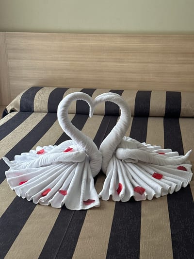 This media file displays two white towels folded into the shape of swans, with red petals scattered on them. The swans are positioned on a bed with a striped duvet cover. The background shows a wall with a wood-like texture. The scene appears to be indoors, likely in a hotel room in Lloret de Mar, Spain, given the context. The lighting suggests it could be daytime. The overall presentation is decorative and suggests a romantic or welcoming gesture. There is no visible text in the image.