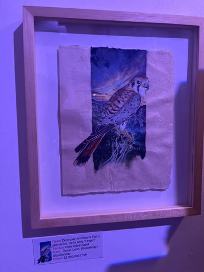 A framed artwork is centrally displayed on a light-colored wall, illuminated by an intense purple-violet artificial light, creating visible shadows and reflections. This scene is situated within an art exhibition in Bogota, Capital District, Colombia.

The primary subject is a vertical, rectangular artwork, identified by an information card below it. The artwork is titled "Cernícalo Americano Falco sparverius. De la serie “Origen”" (American Kestrel Falco sparverius. From the series "Origin") and executed using "Óleo sobre papel" (Oil on paper). It depicts a detailed American Kestrel (Falco sparverius) perched, with its reddish-brown tail and speckled plumage prominently featured. The background is a dark, stylized landscape with a glowing orange horizon line against a deep blue and purple sky, suggestive of twilight. Abstract, dark patterns are present beneath the bird. The artwork is rendered on textured, natural-toned paper with irregular, rough edges, mounted within a light-toned wooden frame and a white matte.

The informational card below the frame provides the artwork's title, author "Óscar León (Gualanday)" (with social media handle "@gualanday"), technique, and a price of "$1,350,000 COP." No individuals are present in the visible frame.