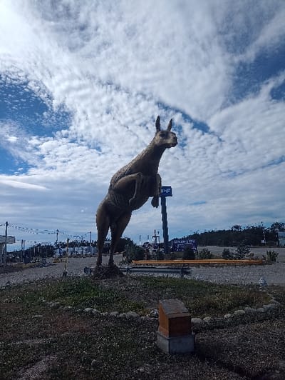 A kangaroo statue stands prominently against a backdrop of a sky filled with white clouds and patches of blue. The statue is positioned on a grassy verge alongside a road or pathway. Other elements in the background include trees, overhead wires, and what appear to be signs or billboards. The overall scene is captured in a vertical orientation, and the kangaroo is the primary focus.