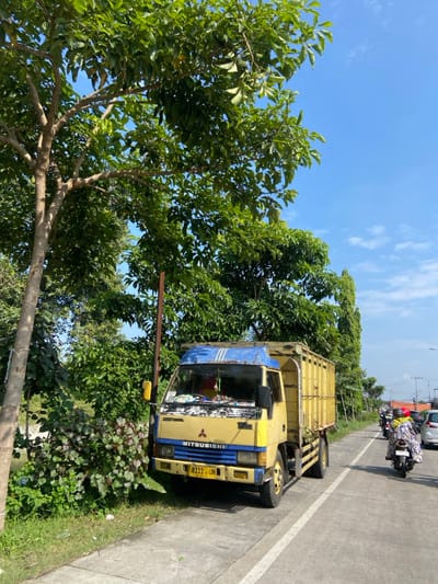 A yellow and blue Mitsubishi truck is parked on the side of a paved road in a suburban area of Kecamatan Tulangan, Indonesia. The truck is facing the right side of the image, and is partially obscured by a large, leafy tree on the left. The truck has a flatbed with sideboards and is loaded with unknown cargo. There is a white line painted down the center of the road. A single motorcycle is visible on the right side of the road, moving in the direction the truck is facing.  The sky is a clear blue, with scattered white clouds.