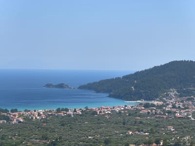 This is an aerial, high-angle, full shot of a coastal town in Panagia, Greece, on a clear day with a bright blue sky. The foreground is dominated by a densely packed olive grove, with the silvery-green leaves of the trees creating a textured carpet. Scattered within the grove are a few buildings, some with red-tiled roofs.

The middle ground features the town itself, a vibrant collection of houses with white or light-colored walls and predominantly red-tiled roofs. The town stretches along the coastline, nestled between the olive groves and the sea.

The background showcases the Aegean Sea, with a strip of turquoise water near the shore giving way to a deeper, darker blue further out. Two small, rocky islands with sparse vegetation are visible in the sea. A tree-covered hillside rises steeply behind the town and stretches along the coastline. A single white boat is visible on the water, leaving a faint wake. The overall impression is one of a sun-drenched, picturesque Mediterranean landscape.