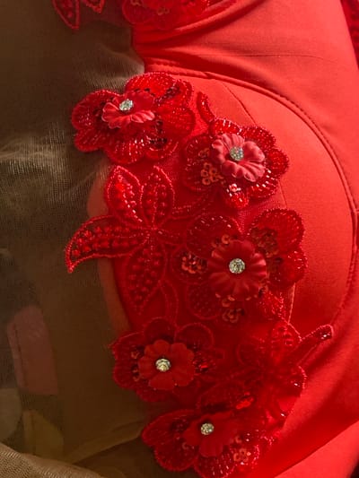A close-up, high-angle view depicts a section of a red textile garment, located in Oba-Aboji, Nigeria. The garment is composed of a solid red fabric on the right, which appears smooth and subtly contoured. To the left, a sheer, light beige mesh fabric is visible. An elaborate red floral embellishment is applied across both the solid red and mesh fabrics. This embellishment consists of multiple three-dimensional red fabric flowers, each centrally adorned with a clear, faceted rhinestone. Surrounding and connecting these individual flowers are intricate red embroidered patterns, densely detailed with small red beads and sequins. No individuals are present, and no actions or interactions are occurring. The environment is implied as an indoor setting or a controlled space for textile display.