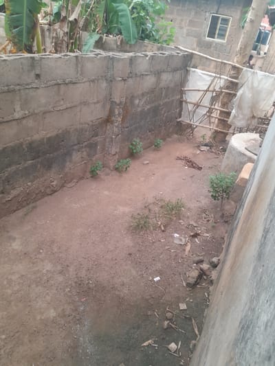 This image depicts an outdoor, unpaved yard in Ifo, Nigeria, viewed from a slightly elevated perspective. The ground is composed of reddish-brown laterite soil, featuring sparse patches of dry grass, scattered small stones, dried organic matter, and white plastic debris. A concrete block wall, approximately five courses high, forms the left boundary of the area, exhibiting dark staining along its lower sections. Five small green plants are rooted along the base of this wall. On the far right, a smooth, light grey concrete or plastered wall is visible at an acute angle. In the mid-ground, a cylindrical concrete structure, consistent with a wellhead, is positioned near the right wall. The background reveals a grey concrete block building equipped with a single white-framed window. A rudimentary bamboo structure, partially covered with white plastic sheeting, stands between the left wall and the background building. A single person, dressed in dark clothing, is partially visible standing behind the bamboo structure in the upper right background. Large-leafed tropical foliage, characteristic of banana plants, is visible above the left wall in the background. No discernible actions or interactions are occurring.