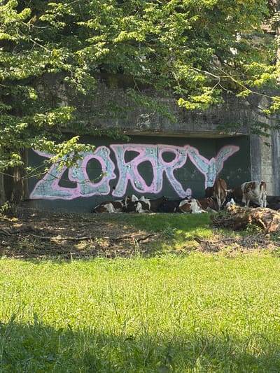 In Basel, Switzerland, beneath a concrete structure draped with green foliage, a section of graffiti reads "ZORRY" in large, pink and gray letters. A herd of cows, some lying down and others standing, are gathered near the graffiti. The ground around the cows is a mixture of dirt, dry leaves, and sparse grass. In the foreground, a lush, green grassy field is illuminated by sunlight. The scene appears to be a rural or semi-rural area adjacent to an urban setting, possibly a park or undeveloped land near infrastructure.