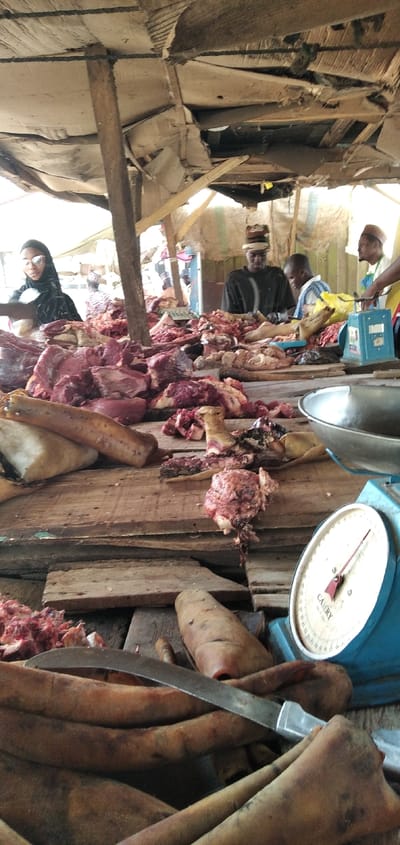 The image captures a vibrant and rustic scene within what appears to be an open-air or covered market, focusing on a meat stall. The dominant feature is a large display of raw, freshly cut meat pieces, varying in size and cut, laid out directly on wide, rough wooden planks that form the counter. Some cuts include bones, and there are several elongated, pale, bone-like or skin-covered animal parts (possibly trotters or large bones) visible in the foreground and on the main display.
In the bottom foreground, a long, silver-bladed knife with a black handle rests on top of some of these pale objects. To the right, a blue mechanical scale with a circular dial is prominently placed. The brand name "CAMRY" is clearly visible on the dial, along with numbers indicating weight measurements, ranging from 0 to what appears to be 100 or more, with red markings. A metal weighing bowl sits on top of the scale.
Several people are visible in the background, behind the meat display. On the far left, a woman wearing a black headscarf (hijab) and sunglasses is partially seen, looking towards the stall or perhaps an individual off-camera. In the center-back, a man in a dark shirt and a patterned cap stands, appearing to be a vendor, focused on the meat or an activity related to it. Further to his right, another man with a similar cap is also visible, and another individual is partially obscured in the far right background.
The overhead structure of the stall is makeshift, constructed from wooden beams and what appears to be corrugated cardboard or similar fibrous material, showing signs of wear and tear, with some light filtering through gaps. In the deeper background, large woven sacks, possibly containing produce or other market goods, are discernible.
The lighting suggests it is daytime, with natural light illuminating the scene. The overall atmosphere conveys the busy and traditional nature of a local market where fresh meat is sold openly. No specific location or time of day beyond "daytime" can be definitively determined, but the informal structure and method of display point to a non-industrialized setting. The people in the image appear to be engaged in the ordinary activities of market life, either as vendors or customers.