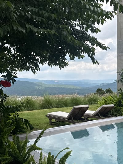 This is a vertical, eye-level, medium shot of a resort scene in Da Loc, Vietnam. In the foreground, a swimming pool with a light blue, rippling surface occupies the bottom third of the frame. The pool has a gray tiled edge. To the left of the pool, lush green ferns and other foliage are visible, with a single large red flower on a branch hanging into the scene from the upper left. Behind the pool and foliage is a manicured green lawn. Two empty, wooden lounge chairs with beige cushions are positioned on the lawn, facing the distant landscape. Beyond the lawn, tall, wispy grasses and some shorter, manicured green bushes are present. The middle ground features a panoramic view of rolling, tree-covered hills under a cloudy sky. The sky is a muted blue with scattered white clouds. The overall impression is one of tranquility and a luxurious outdoor setting.