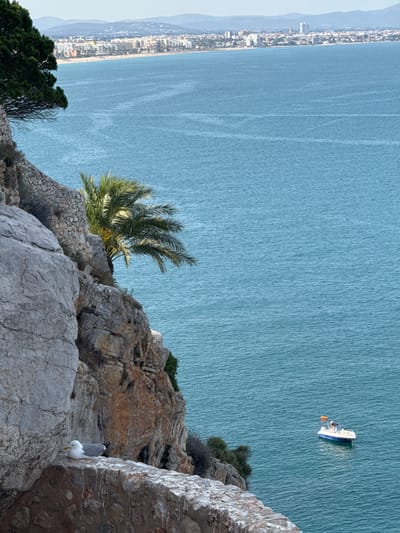 This media file presents a panoramic view of a coastal landscape, likely Peníscola, Spain, captured from a high vantage point overlooking the sea. The upper portion of the image is dominated by the expansive, calm blue-green waters, showing subtle patterns from small waves or currents. Along the distant horizon, a long, developed coastline stretches out, featuring a town or city with numerous buildings and a beach, backed by hazy mountains.
In the foreground, rugged rocky cliffs and outcrops occupy the lower and left parts of the frame. These rocks exhibit varied textures and colors, from light gray to warm brown. A vibrant green palm tree grows from the rocky terrain on the left, while other smaller bushes are scattered across the cliff face. Perched prominently on the rocks in the lower-left corner is a white and gray seagull, facing downwards.
A small white and blue motorboat is visible on the sea in the upper-right quadrant, appearing to be stationary or moving slowly. A person can be seen on the boat. The scene is illuminated by clear daylight, indicating a bright day, possibly late morning or early afternoon, with excellent visibility. The overall impression is one of tranquility and natural beauty along the Spanish coast. No visible text is present in the image.