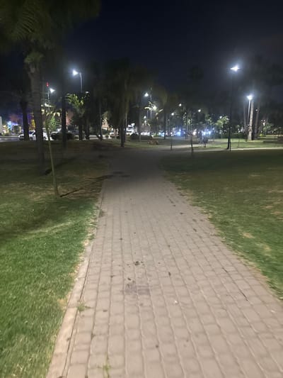 The image depicts a paved walkway in a park at night in Berrechid, Morocco. Palm trees line the left side of the walkway, interspersed with streetlights that illuminate the scene. A grassy area borders the right side of the path. In the background, a street with cars and lights is visible, suggesting the park is situated within or near a populated area. The overall atmosphere is tranquil and dimly lit, characteristic of an urban park after dark.