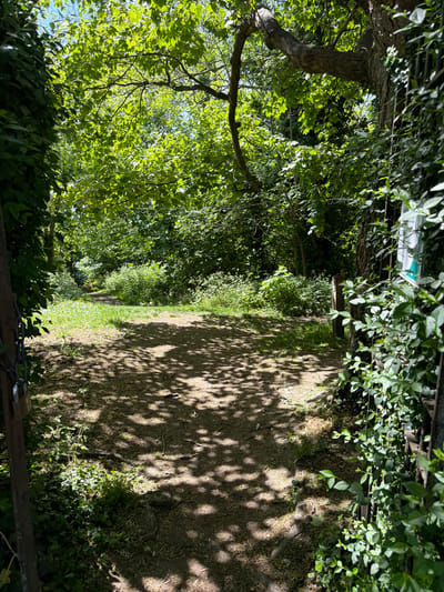 The image depicts a footpath in Guildford, United Kingdom. The path is predominantly gravel or dirt, dappled with shadows from overhanging trees and foliage. The path is bordered by dense vegetation on both sides, including various types of trees, bushes, and climbing plants. The path appears to be somewhat secluded and overgrown. A metal fence or barrier is visible in the foreground and top of the image, adding to the sense of enclosure. The overall impression is of a natural path within an urban environment.