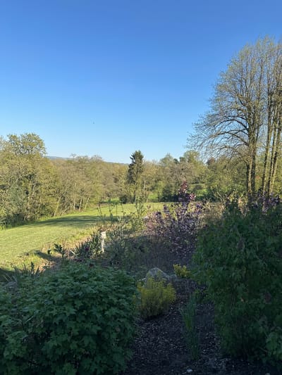 The image depicts a landscape in the Staffordshire Moorlands, United Kingdom. The scene includes a grassy field extending into a wooded area with trees in varying shades of green. The sky is a clear, pale blue. The landscape is viewed from an elevated position within a garden, with bushes and other vegetation visible in the foreground on the right side. There are no people visible in the image.