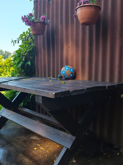 In Lapmežciems, Latvia, an outdoor scene depicts a weathered wooden picnic table with a dark, wet surface, likely from recent rain, as evidenced by puddles and wet foliage around its base. A green rope lies diagonally across the tabletop. To the right of the table, resting on its surface, is a blue and orange patterned ball with paw prints, partially obscured by a dark object behind it. Behind the table is a corrugated, dark brown wall, with two terracotta hanging planters above, one containing pink flowers. Lush green foliage cascades down the left side of the image, partially obscuring the wall and extending from behind the table. The sky above is a clear, pale blue.