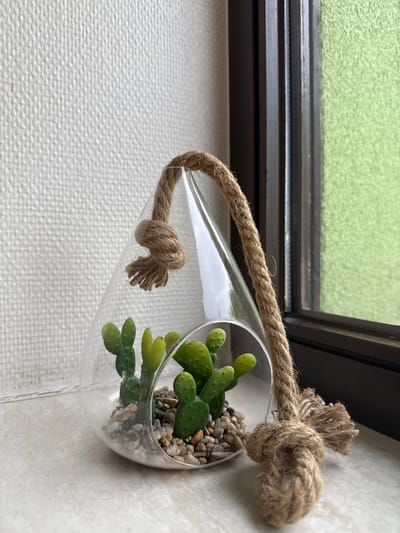 The image captures a close-up, slightly overhead perspective of a decorative hanging glass terrarium positioned against a textured indoor wall and a window. The central subject is an elongated, clear glass vessel, open at one end and designed to house plants. Inside, several small, green, artificial succulent or cactus-like plants are arranged amongst a bed of various-sized and colored pebbles and gravel. The plants have a distinct paddle-like appearance, resembling bunny ear cacti.
The glass terrarium is suspended by a robust, natural-colored jute or hemp rope. The rope is intricately tied with prominent, decorative knots at both ends where it encircles the glass, ensuring the vessel is securely held. A larger knot is visible further up the rope, indicating its hanging mechanism.
The background to the left features a white wall with a subtle, textured pattern, possibly wallpaper or painted plaster. To the right and top, a dark-colored window frame is visible, offering a glimpse of the outdoors. The exterior view is softly blurred, revealing a bright green expanse, strongly suggesting a lawn or foliage, under natural daylight. The lighting indicates it is daytime. No activity or individuals are present in the frame, and no text is visible. The scene portrays a tranquil, decorative element within an indoor environment, located in Pétange, Luxembourg.