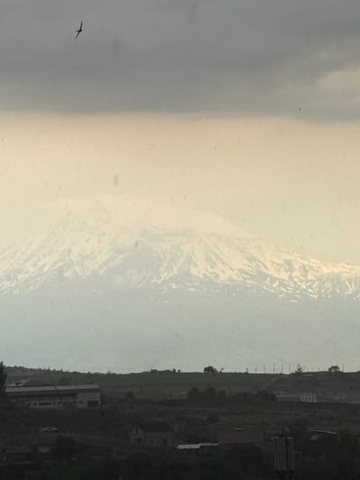 The image shows a scenic view of a hillside landscape, likely from a window. The scene is divided vertically, with the left side dominated by a hazy, overcast sky with subtle cloud formations. In the sky, a solitary bird is captured mid-flight, silhouetted against the lighter sky.

The right side of the image presents a darker, more detailed view of a sloped terrain. This hillside is dotted with buildings, some appearing to be houses or small structures, and a larger, more modern-looking building with multiple windows and a distinct entrance. The terrain is covered in vegetation, appearing as a mix of grass and scattered trees. There are also visible power lines or telephone poles stretching along the hillside, indicating some level of infrastructure. The overall impression is of a rural or semi-rural setting on the outskirts of a settlement.

The lighting suggests it could be daytime, possibly late afternoon or early morning, given the soft, diffused light and the overcast sky. The weather appears to be cloudy, contributing to the hazy and somewhat muted colors in the sky. The orientation of the image is such that the hillside is seen from a slightly elevated perspective, and the overall scene is rich in natural textures and man-made structures integrated into the landscape. There is no visible text within the image.