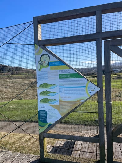 An information sign, triangular in shape with white, yellow, and green panels, is mounted on a weathered wooden frame. The sign provides explanations in multiple languages (including English, Spanish, and Basque) about geological formations. The upper section features a cartoon illustration of a person eating a sandwich, accompanied by text describing a "sandwich" type coastline. The middle section contains three sequential diagrams illustrating environmental changes, likely related to land and water interaction. The lower section details "A SMALL MARSH." Several logos are visible on the middle-right of the sign.

The wooden frame supports a dark-colored, square-grid wire mesh fence that stretches across the entire scene behind the sign. In the immediate foreground, a wooden planked deck is partially visible.

Beyond the fence, a wide expanse of well-maintained green grass, indicative of a golf course, stretches towards a distant line of verdant hills under a clear, bright blue sky. A solitary white building with a dark roof is visible among the distant landscape on the right. Strong sunlight illuminates the scene from the upper right, casting sharp shadows from the wooden structure and fence onto the sign and the foreground deck. The scene is located in Zarautz, Spain.