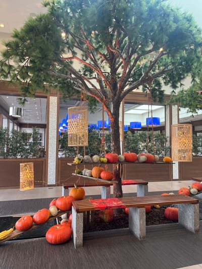 The image displays an indoor, modern common area, likely within a commercial establishment or hotel in Ribeauvillé, France, decorated with a prominent autumnal theme. A large, multi-trunk artificial tree with abundant green foliage stands centrally, its branches subtly illuminated by warm-toned lights. Several cylindrical, open-weave wooden or wicker lanterns, internally lit with string lights, hang at various heights from the tree's branches.
Around the tree's base, multiple wooden shelves are affixed to the trunk, presenting an assortment of pumpkins and gourds in shades of orange, white, and green. More pumpkins and gourds are arranged directly on the dark grey floor, around a mulched area at the tree's base, and along a shallow decorative trough in the foreground. Several modern benches with slatted wooden seats and sturdy grey stone-like bases are placed around the tree, some featuring small red patterned fabric runners.
The background consists of large glass partitions looking into adjacent sections of the building, revealing planters with green foliage. Beyond these, multiple rectangular blue ceiling light fixtures are visible, contributing to the bright interior lighting. The overall environment features contemporary dark wood paneling, light-colored columns with textured surfaces, and a clean, well-lit ceiling with recessed lighting. No people are visible in the scene.
