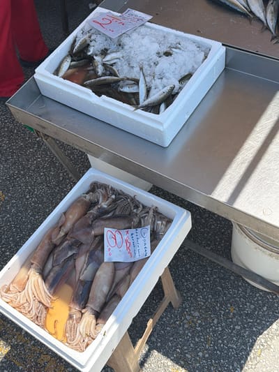 An outdoor market stall in Asprovalta, Greece, displays fresh seafood. In the foreground, a white styrofoam container holds a pile of squid. In the background, another white styrofoam container is filled with small fish on ice, with a red price tag visible. A person in red pants is partially visible to the left of the frame, and a stainless steel table supports the seafood displays. The ground is paved with asphalt.