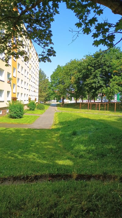 The image captures a sunny day in Sokolov, Czechia, showcasing a residential building and its surroundings. On the left, a multi-story apartment building with yellow and white facade is visible, featuring numerous rectangular windows. In front of the building, a paved walkway winds through a grassy area with several well-maintained bushes. Further into the scene, a row of trees with lush green foliage lines a slightly elevated embankment. Behind the trees, glimpses of other buildings and a street with parked cars can be seen. The foreground is dominated by a verdant lawn, with sunlight casting dappled shadows. A low, dark line runs across the bottom of the image, appearing to be a trench or a bed of darker soil within the grass. The sky is clear and blue.