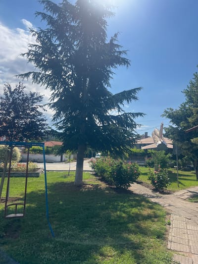 This is a medium-shot, eye-level outdoor photograph taken in Zelenikovo, Bulgaria. The image depicts a park-like setting with a swing set on the left, a large coniferous tree in the center, and a paved pathway on the right. A rusty, tan-colored jet airplane is suspended from wires in the background, positioned between the coniferous tree and a smaller, leafy tree. The airplane is angled downwards and to the right. Behind the airplane, residential buildings with red-tiled roofs are visible. In the foreground, a swing seat from the swing set hangs down into the grassy area. There are also several rose bushes with pink flowers on either side of the pathway. The sky is blue with scattered clouds, and the sun is shining brightly, casting shadows on the grass. The ground is covered in grass, with a few patches of dirt visible near the swing set. The pathway is made of square concrete tiles, some of which appear cracked.