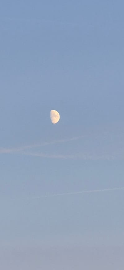 A half-moon is visible in a clear, pale blue sky, slightly off-center to the right. There are thin, faint wisps of clouds or contrails horizontally across the sky, one above and one below the moon. The scene is devoid of any urban or landscape elements, suggesting an aerial or very high vantage point. The image does not provide any information about the city of Mainz, Germany, or any specific location within it.
